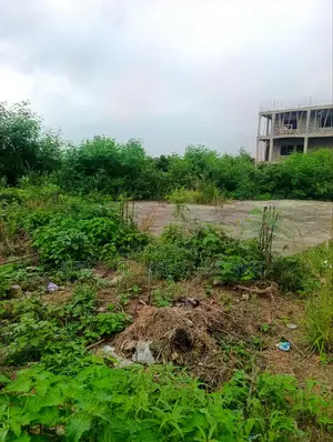 1 Plot of Land With Document for Sale at Odumasi Estate
