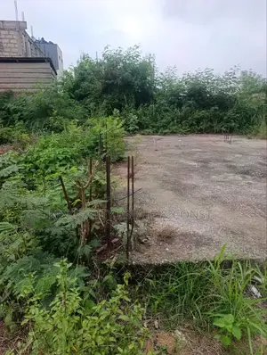 1 Plot of Land With Document for Sale at Odumasi Estate