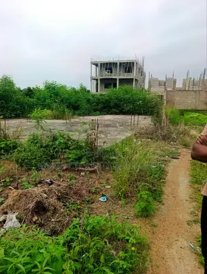 1 Plot of Land With Document for Sale at Odumasi Estate