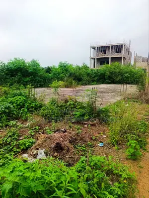 1 Plot of Land With Document for Sale at Odumasi Estate
