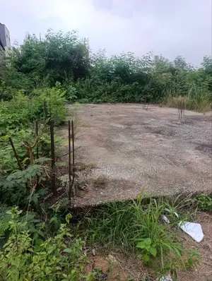 1 Plot of Land With Document for Sale at Odumasi Estate