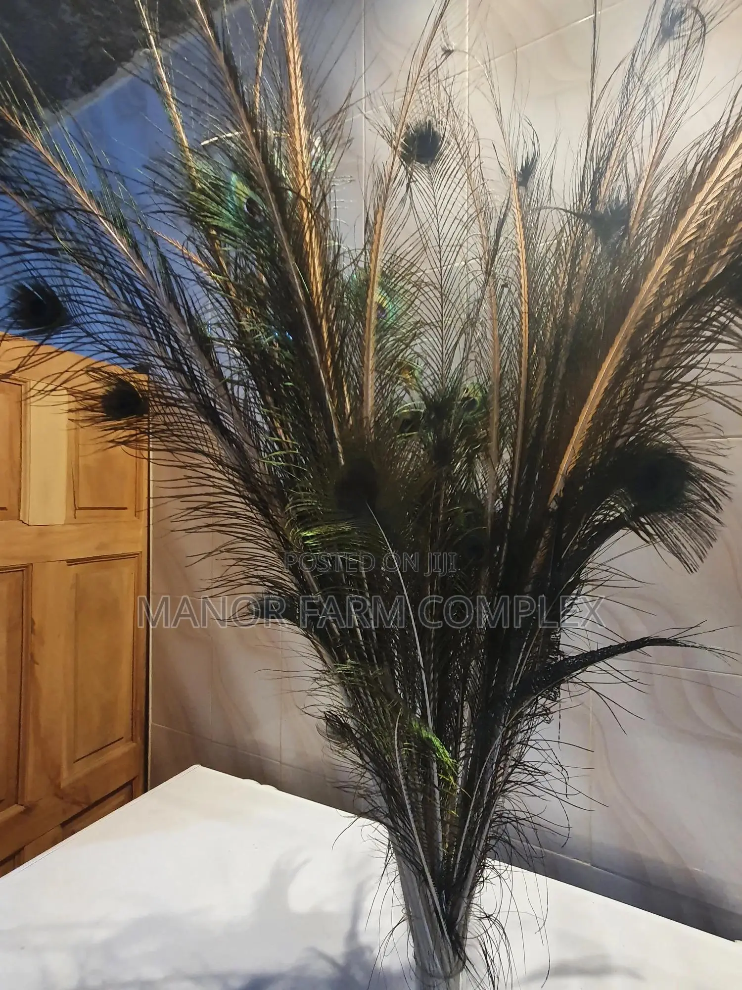Natural Peacock Feathers