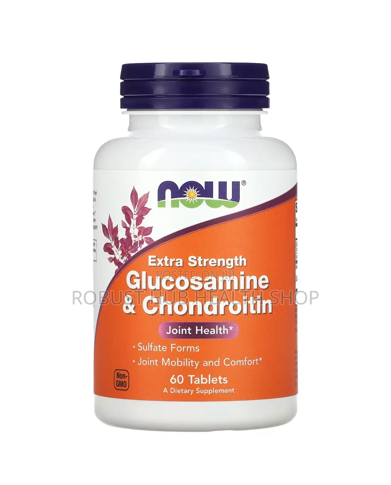 Now Glucosamine Chondroitin