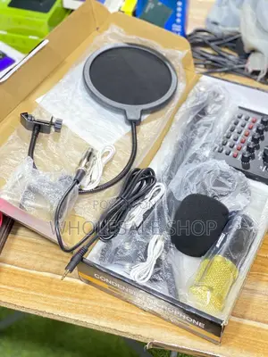 Professional Condenser Microphone