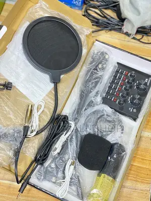 Professional Condenser Microphone