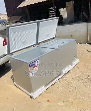 Buy Affordable Nas 1200fl 800l 2 Door Chest Freezer(Gray)