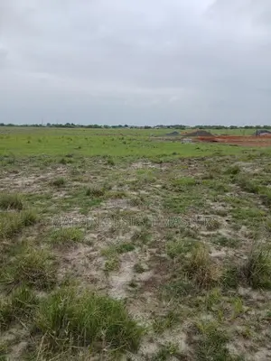 A Vast and Well Demarcated Land for Sale at Tsopoli