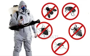 Cockroach, Bedbugs, Ant, Termite Pest Control