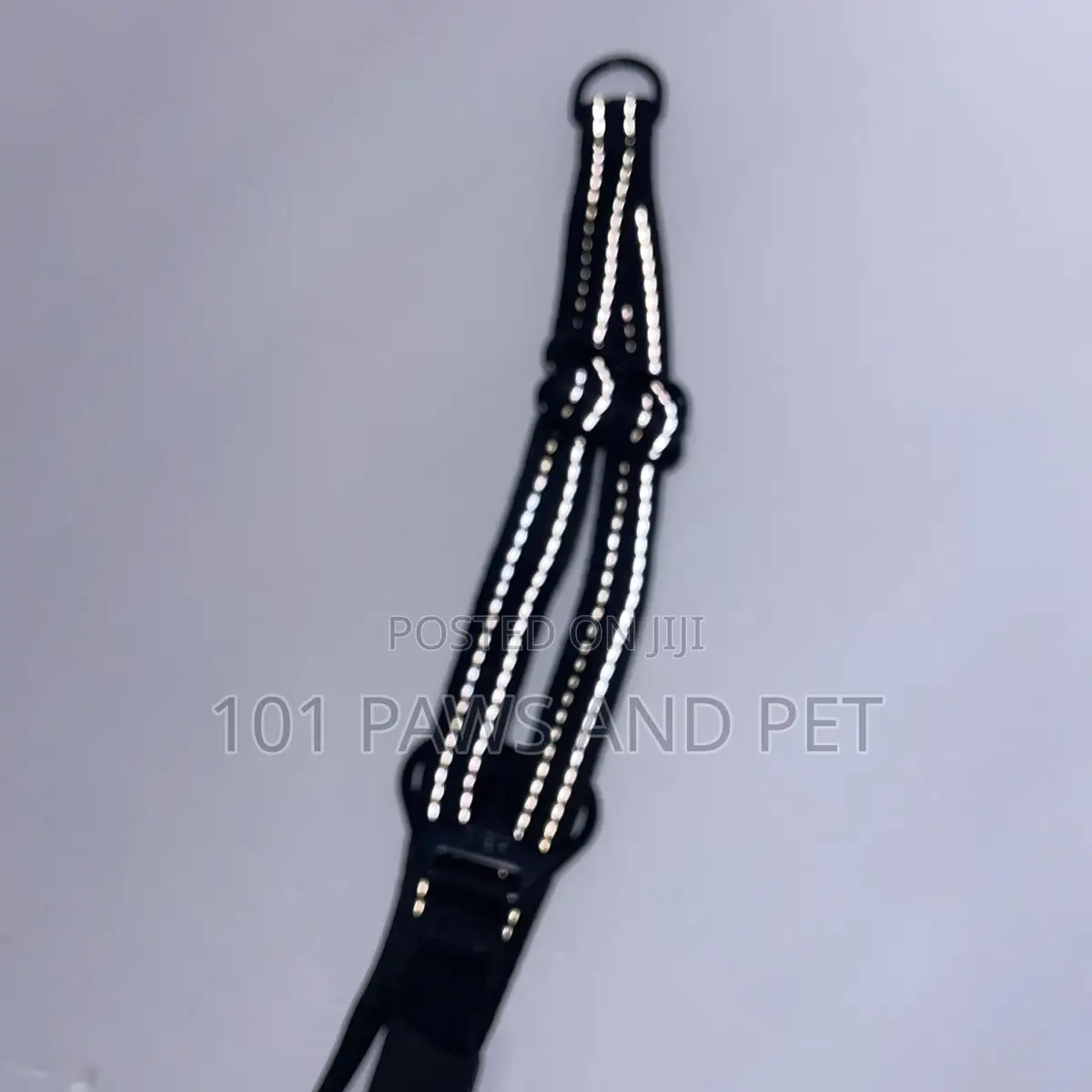 Haiti Pet Harness