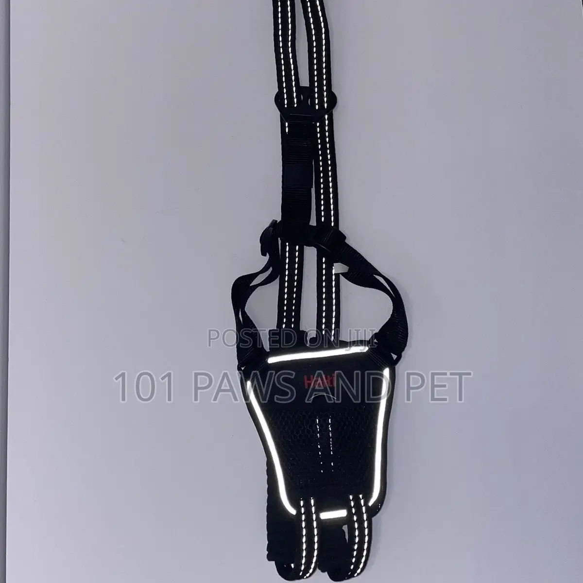 Haiti Pet Harness