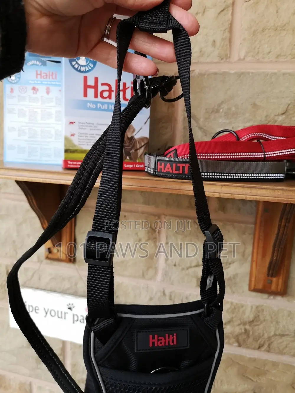 Haiti Pet Harness
