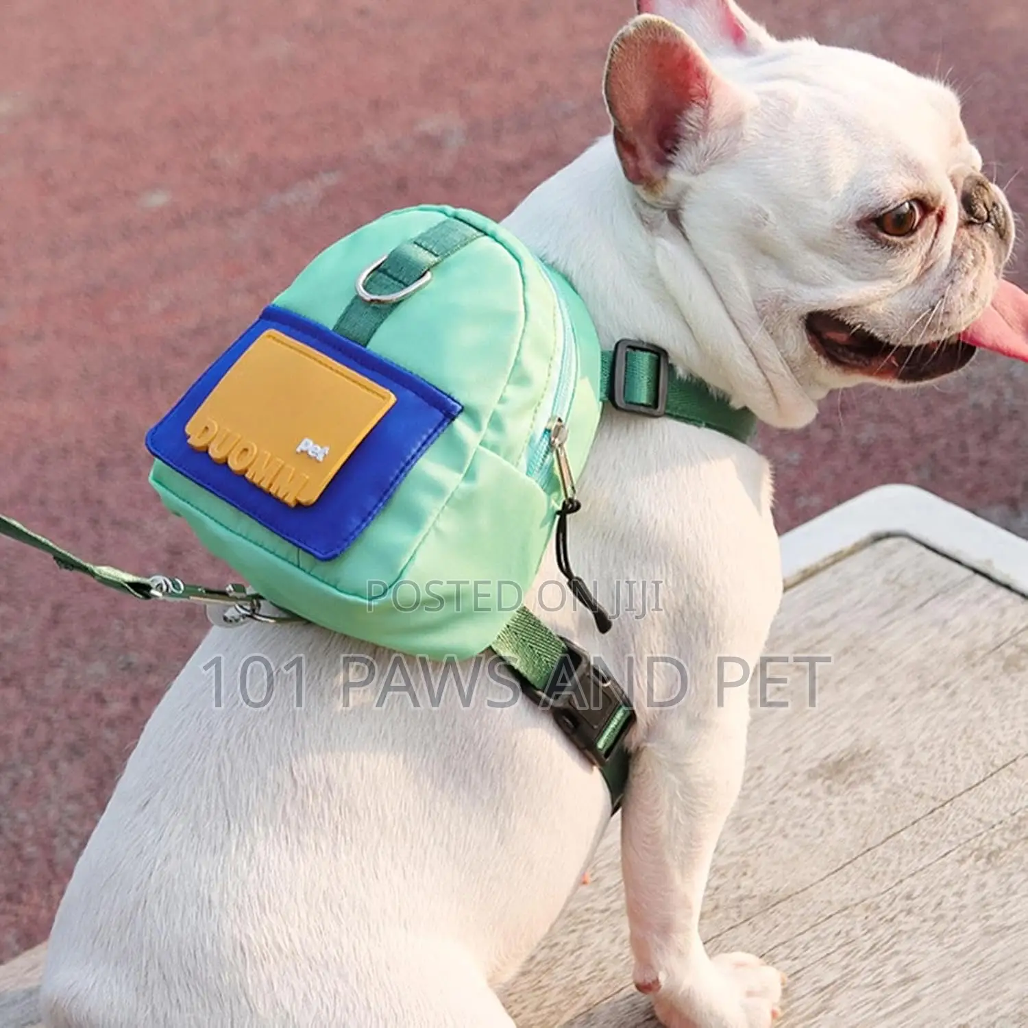 Simply Go Dog Harness With Backpack