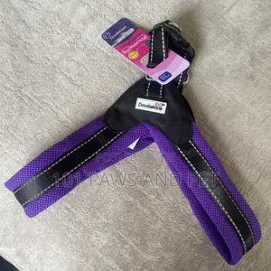 Doodlebone Originals Boomerang Pet Harness