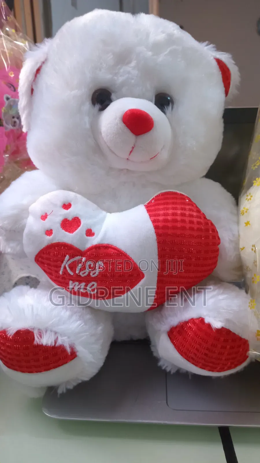 Teddy for All
