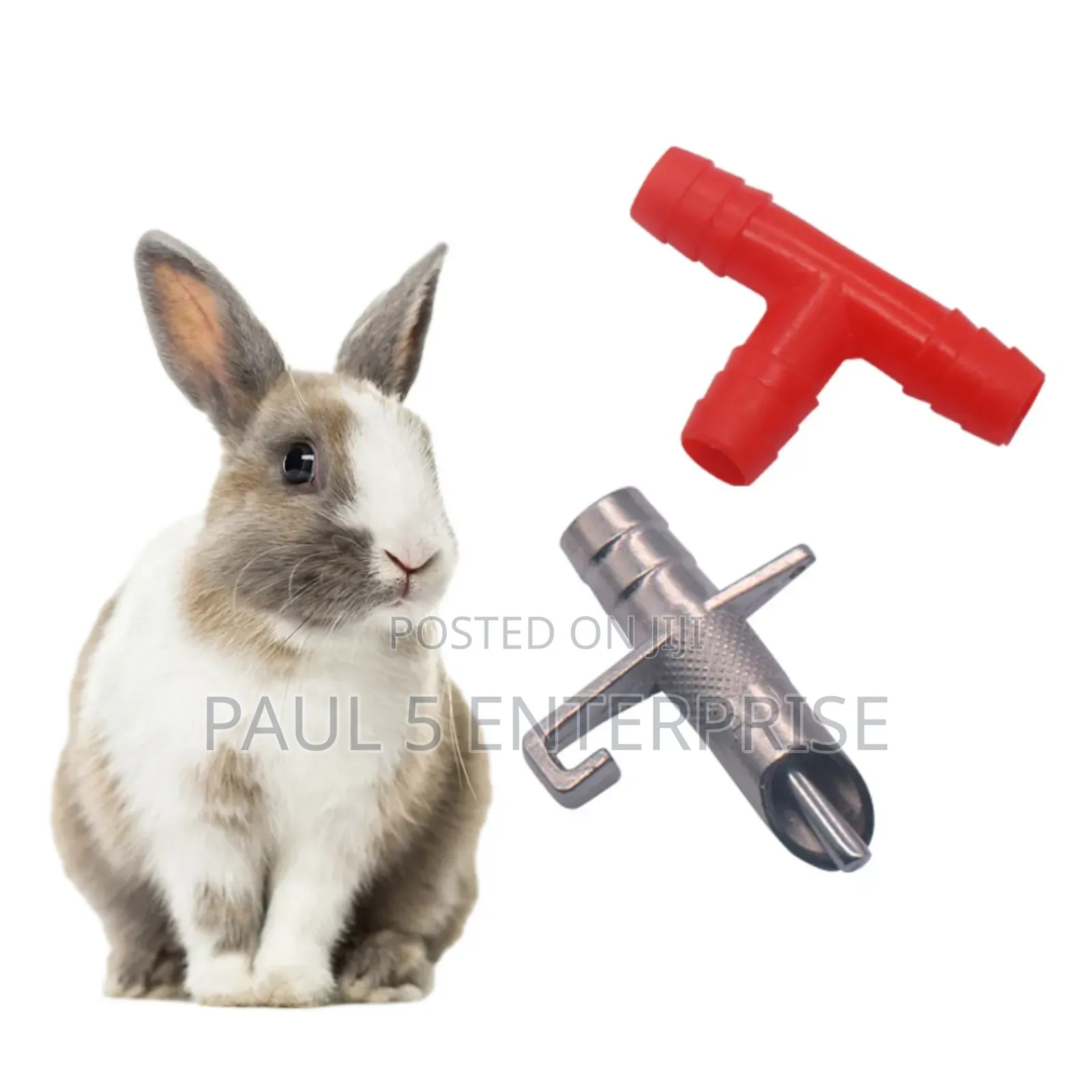 Wholesale And Retail Rabbit Nipples