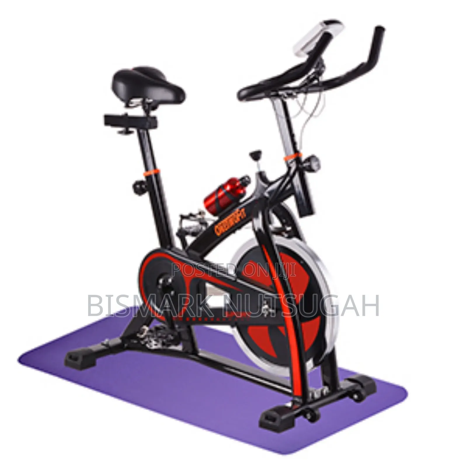 Lifespan Fitness Spin Exercise Bike