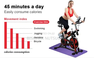 Lifespan Fitness Spin Exercise Bike