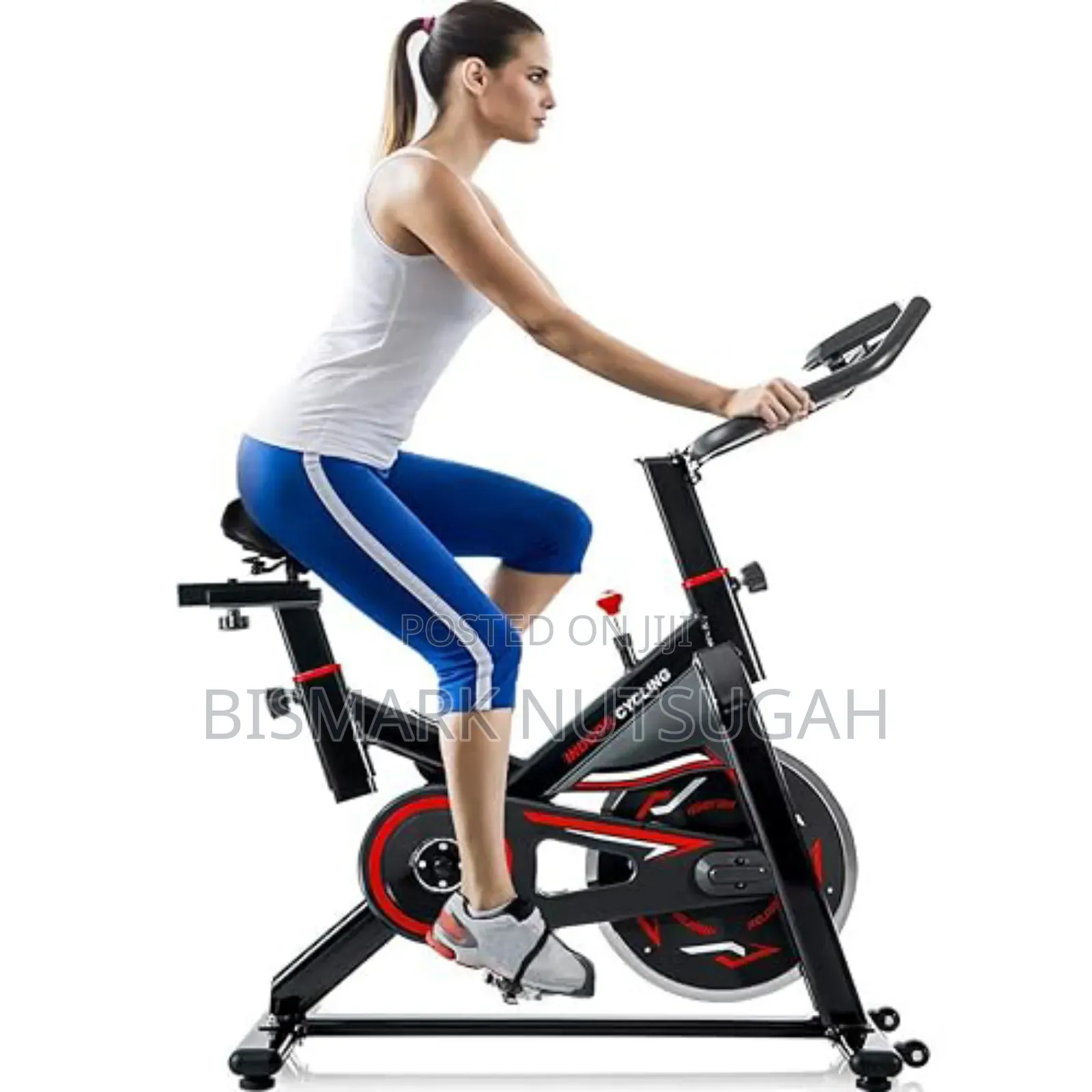 Lifespan Fitness Spin Exercise Bike