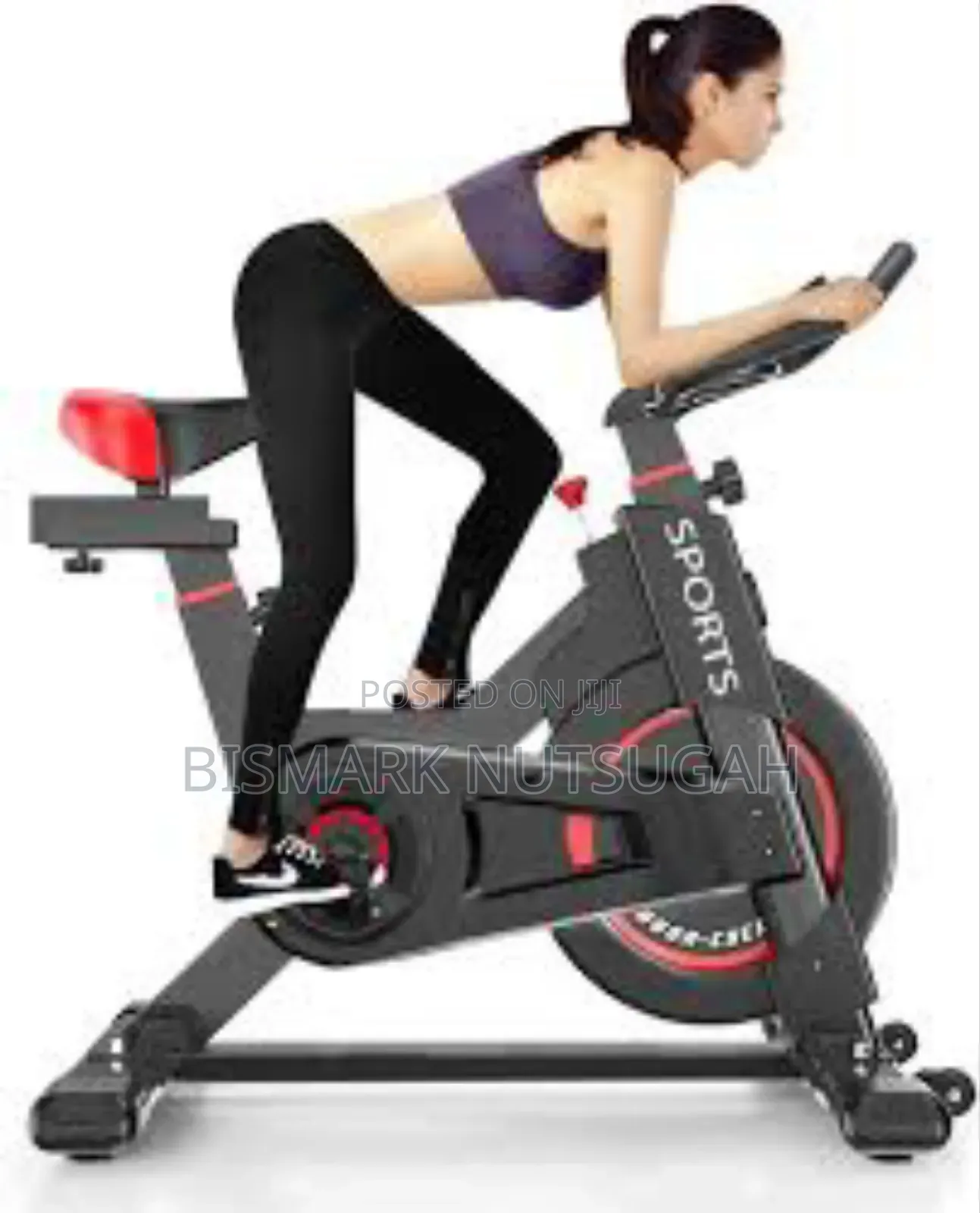 Lifespan Fitness Spin Exercise Bike