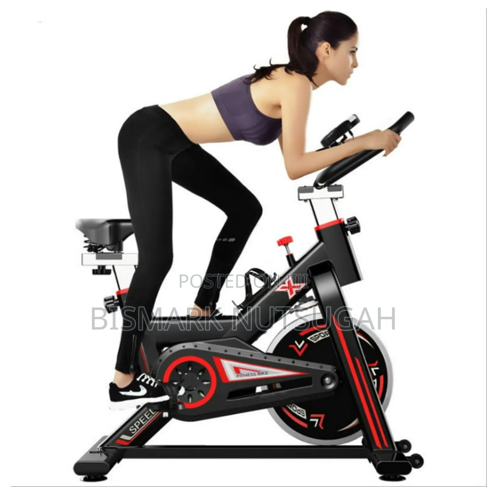 Lifespan Fitness Spin Exercise Bike