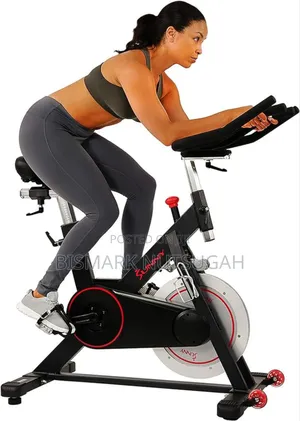 Lifespan Fitness Spin Exercise Bike