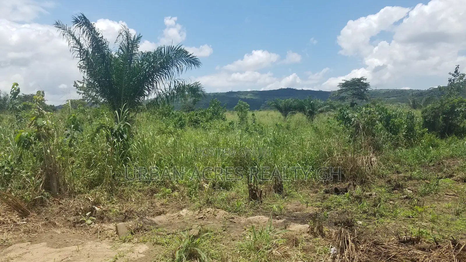 E.R AKUAPIM DIST, (POKROM) _ 60+ Acres Mixed-Use Land