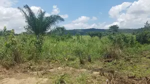 E.R AKUAPIM DIST, (POKROM) _ 60+ Acres Mixed-Use Land