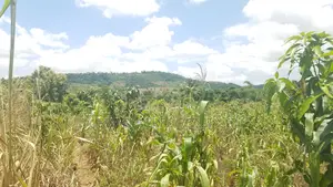 E.R AKUAPIM DIST, (POKROM) _ 60+ Acres Mixed-Use Land