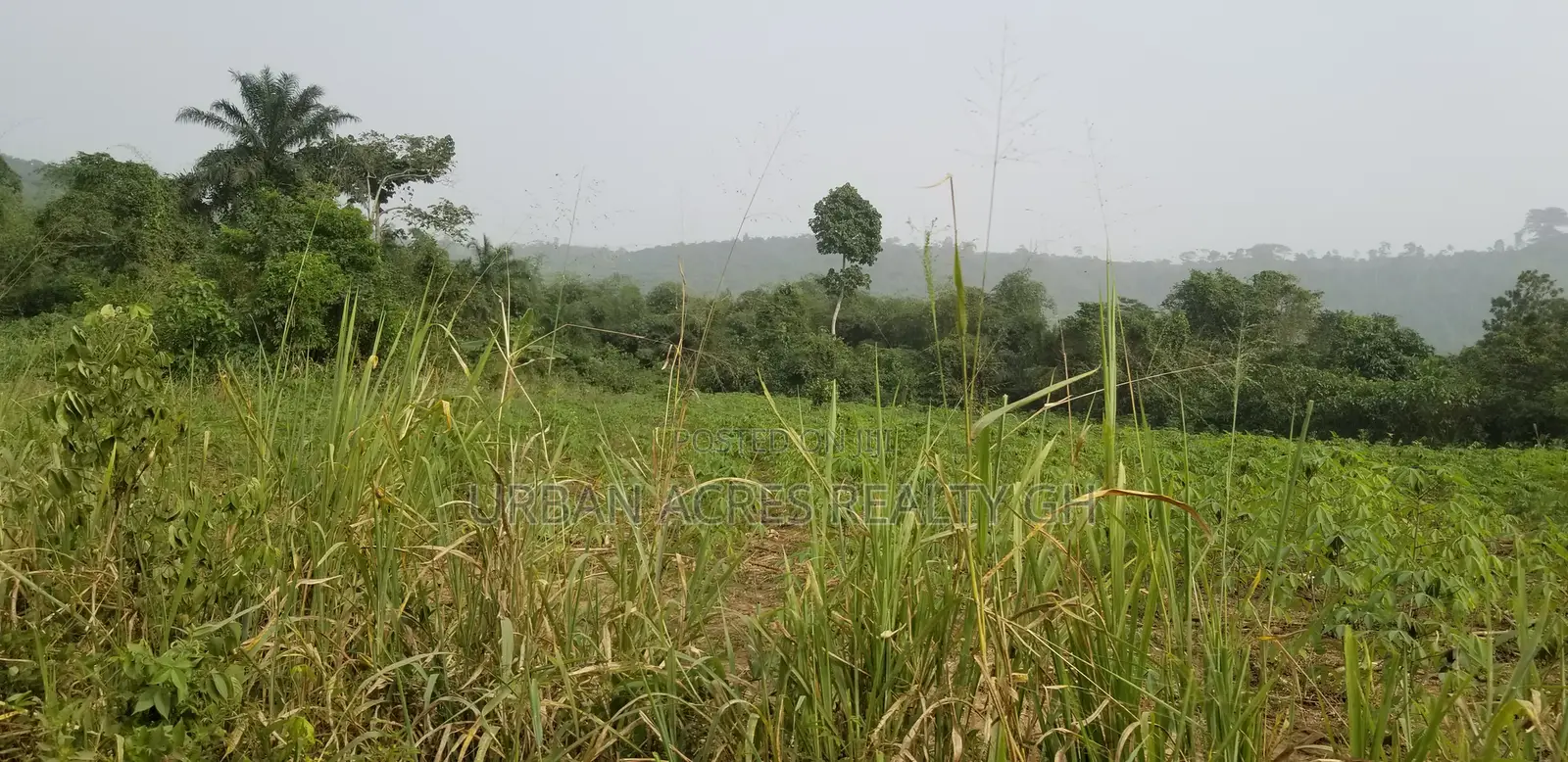 E.R AKUAPIM DIST, (POKROM) _ 60+ Acres Mixed-Use Land
