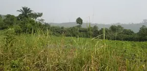 E.R AKUAPIM DIST, (POKROM) _ 60+ Acres Mixed-Use Land
