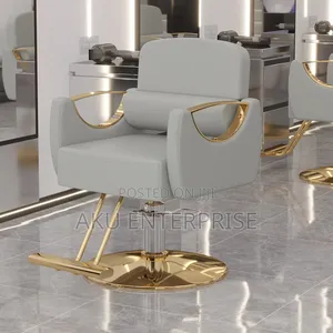 Leather Hair Saloon Chair Babar Chair Gold Legs Adjustable