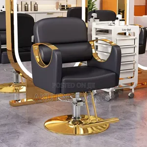 Leather Hair Saloon Chair Babar Chair Gold Legs Adjustable