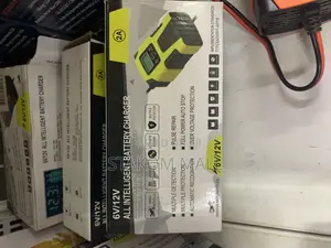 12v6a Intelligent Pulse Repair Charger