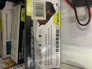 12v6a Intelligent Pulse Repair Charger