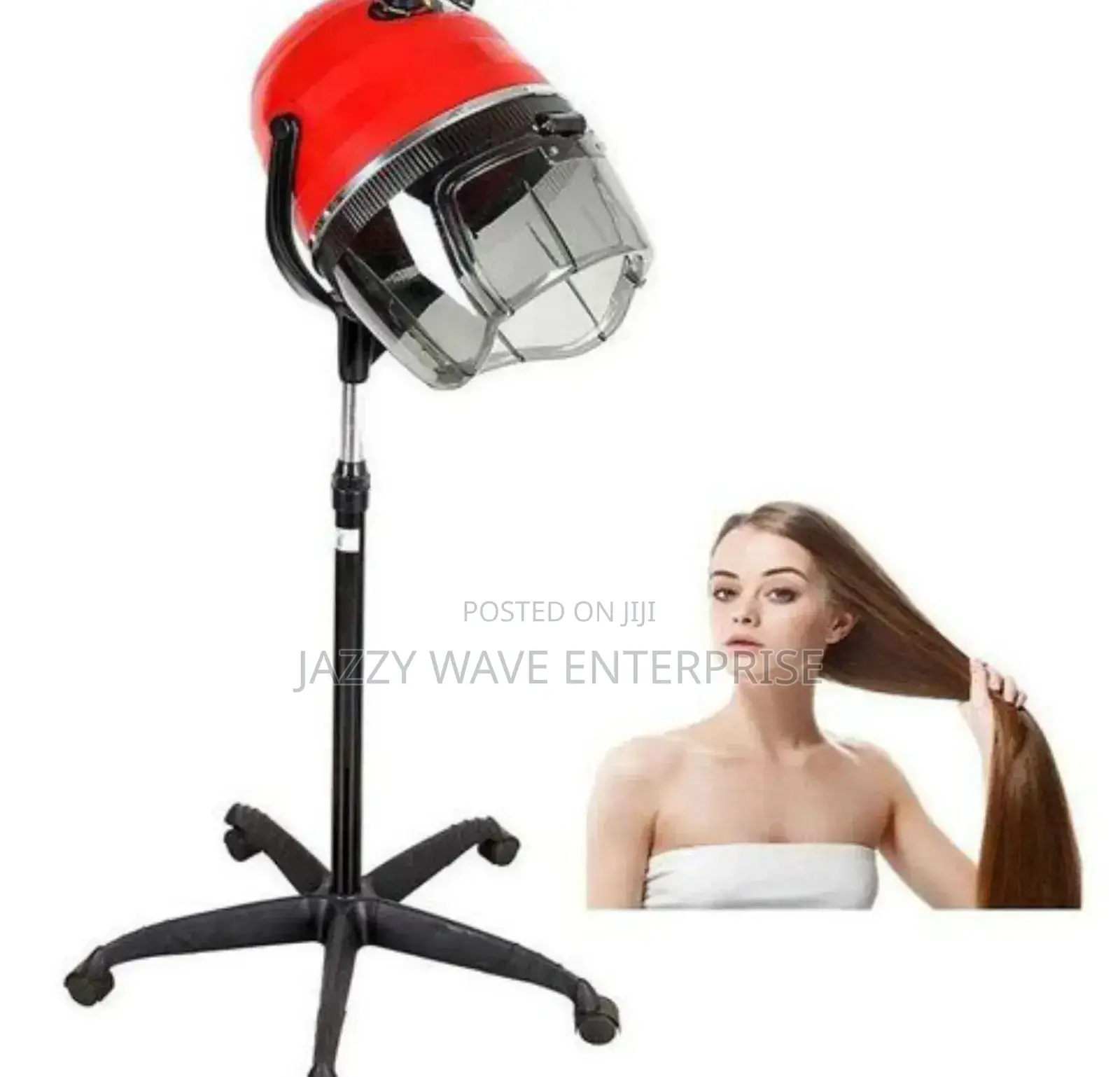 Equator Hair Dryer
