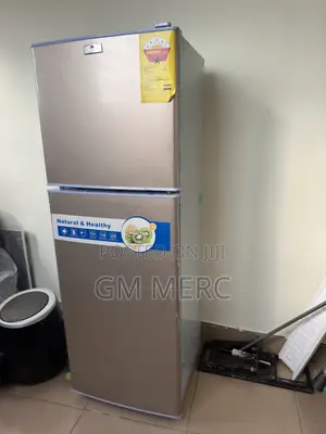 Bright Cool Dual Door Fridge