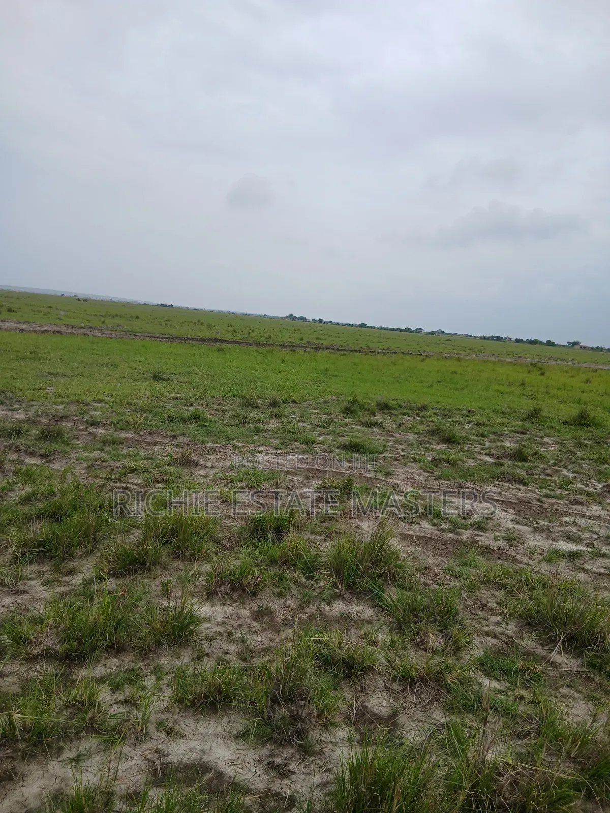 Plain and Flat Land for Sale at Tsopoli