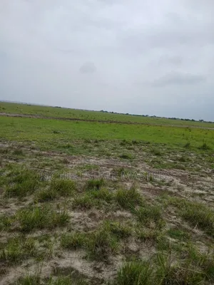 Plain and Flat Land for Sale at Tsopoli