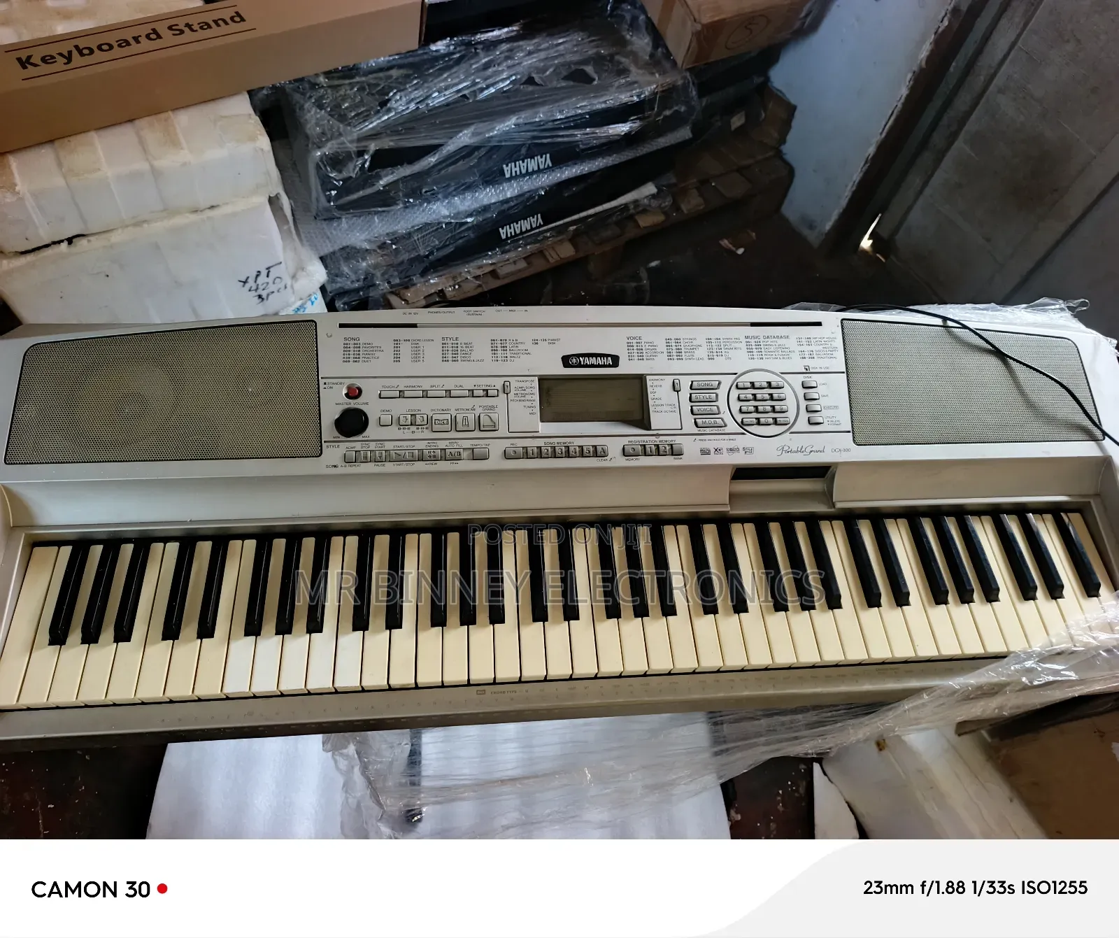 Yamaha Portable Grand Dgx300