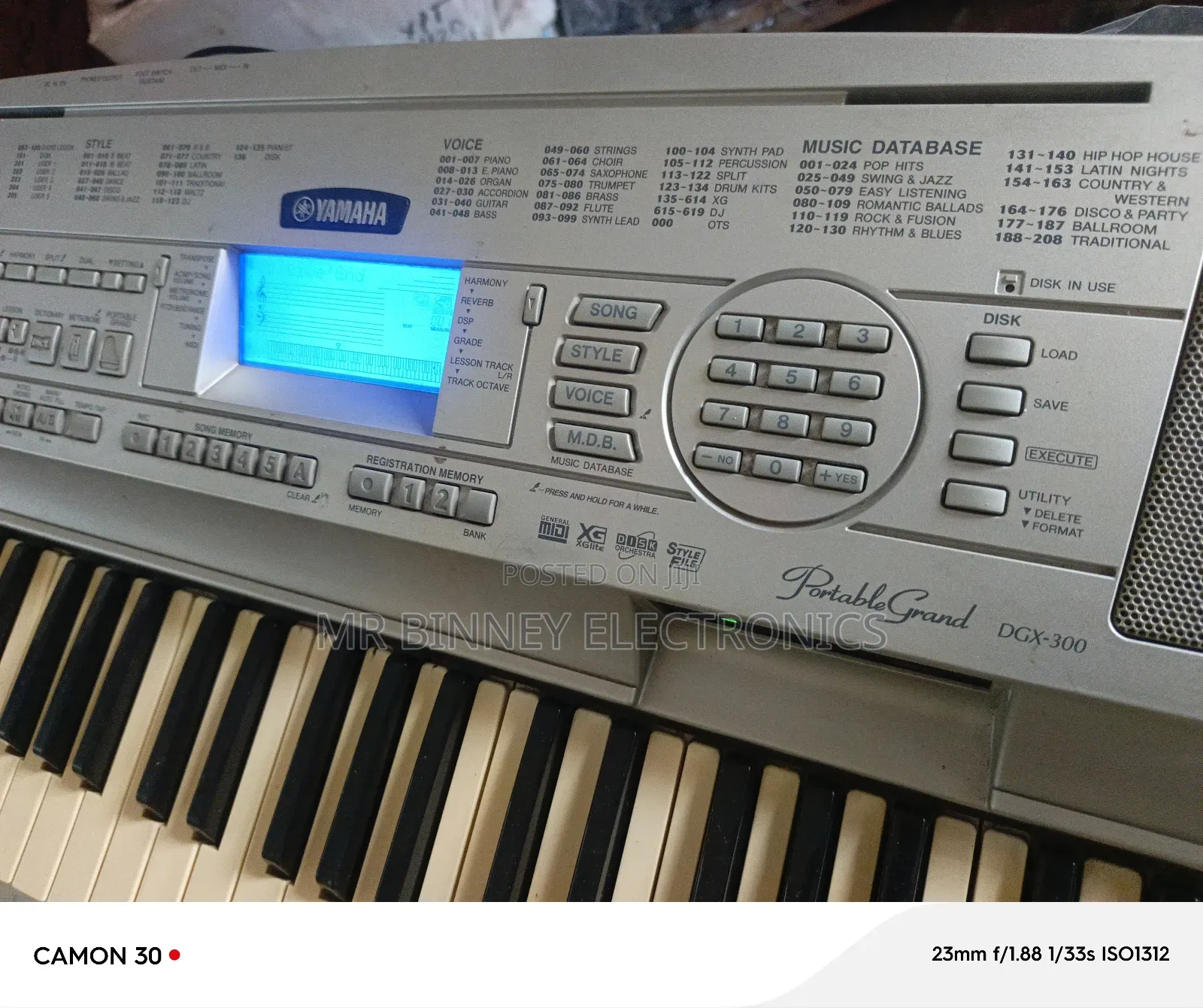 Yamaha Portable Grand Dgx300