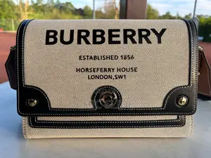 Newest Burberry Bag