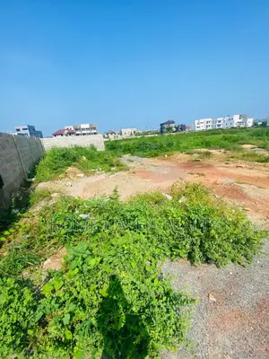 5 Plots for Sale at Tsea Addo