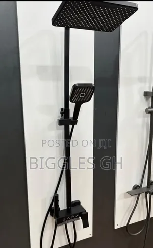 Executive Shower 4in1