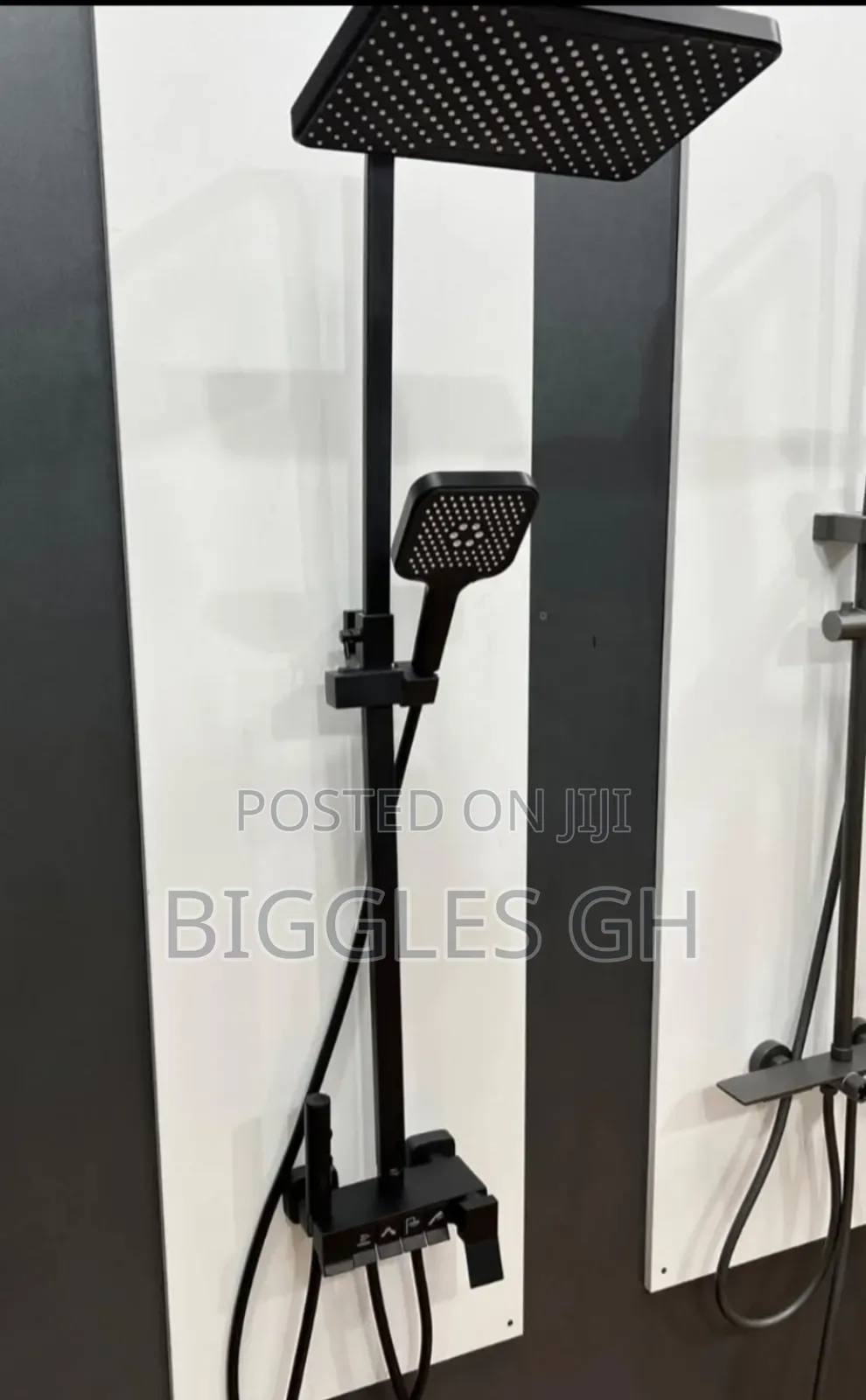 Executive Shower 4in1
