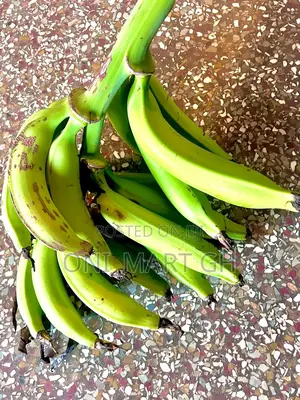 Plantains .Ripe and Unripe
