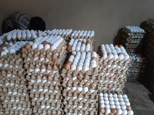 Photo - Fresh Farm Chicken Eggs