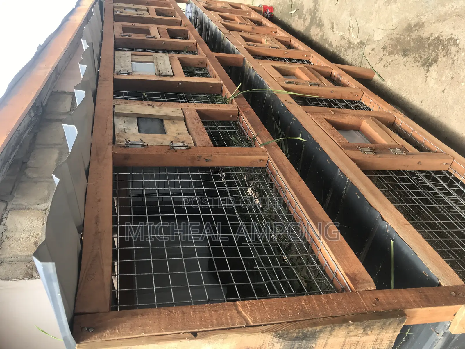 Cages for Sale