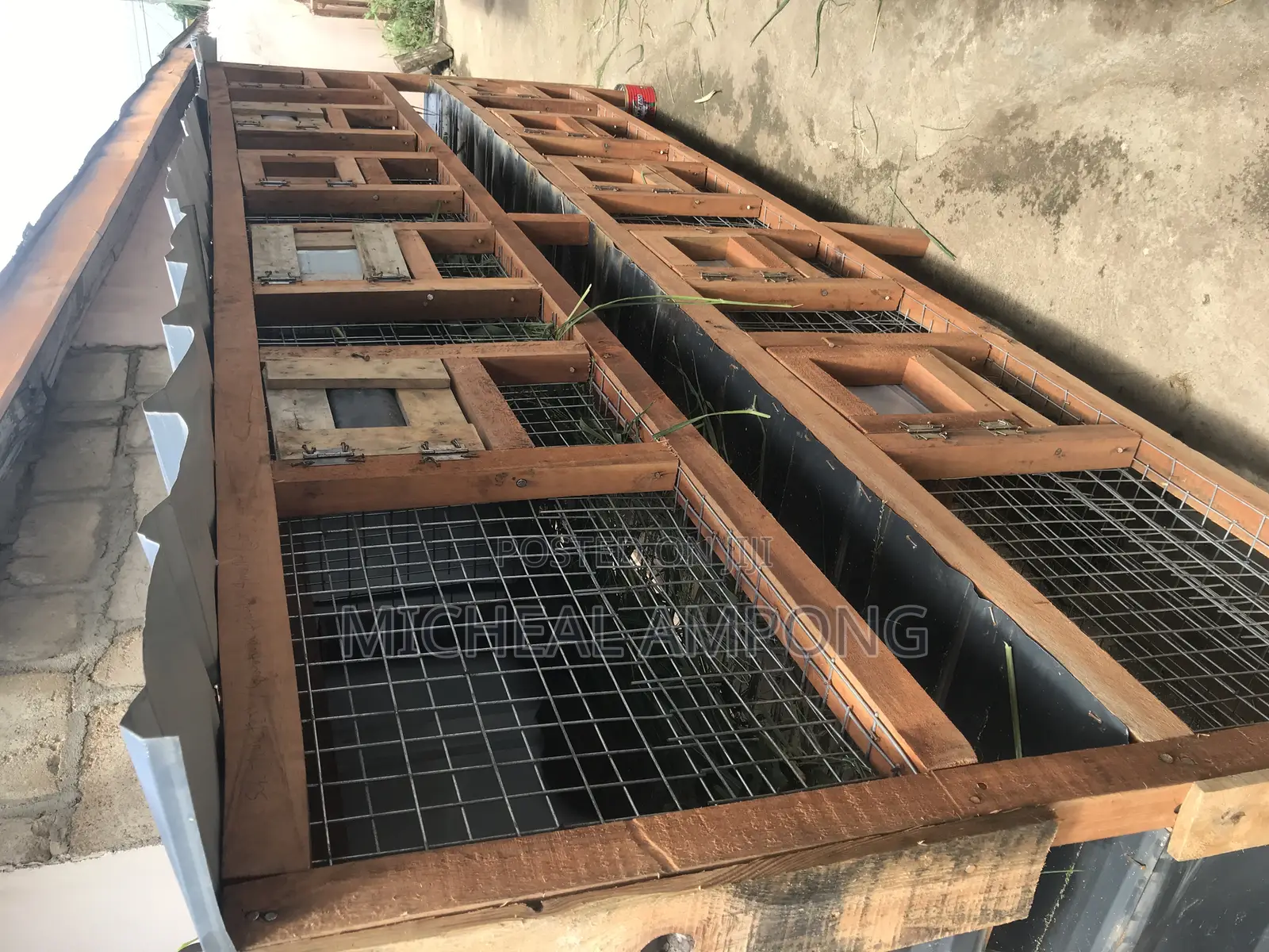 Cages for Sale