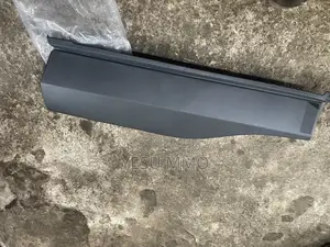 Rav4 2020 Door Moulding