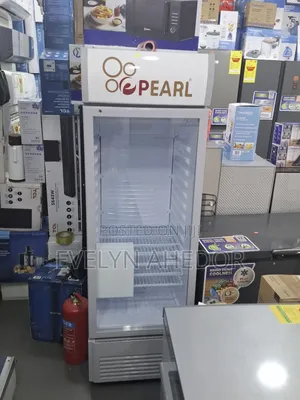 Large Size Pearl Display Fridge 300 Litres Available
